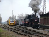 26.11.2011 mikulášský vlak Sp 1918 Vysoké Mýto parní lokomotiva 423.009